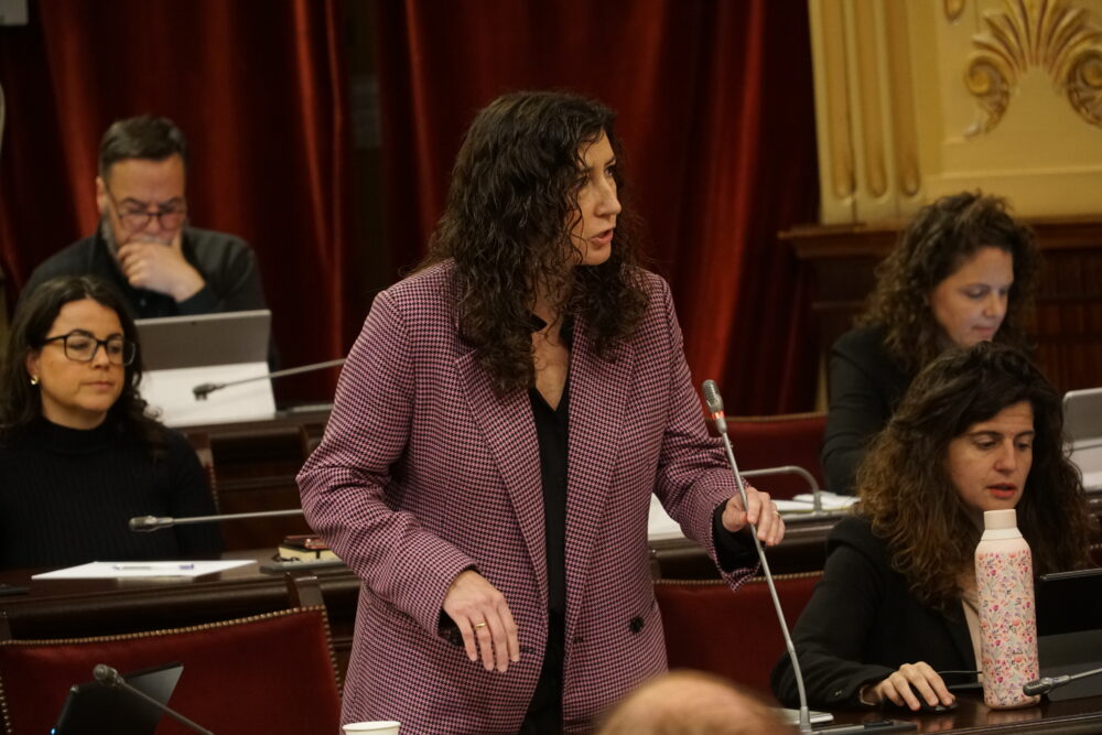 Amanda Fernàndez, al Parlament
