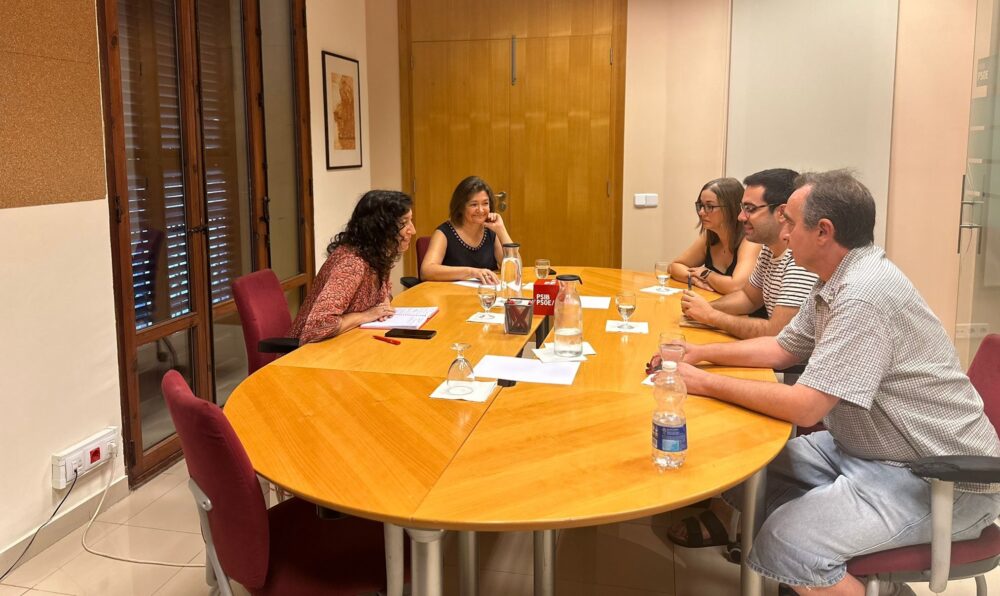 Reunió Amanda Fernández i Mercedes Garrido amb plataforma docents interins
